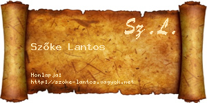 Szőke Lantos névjegykártya